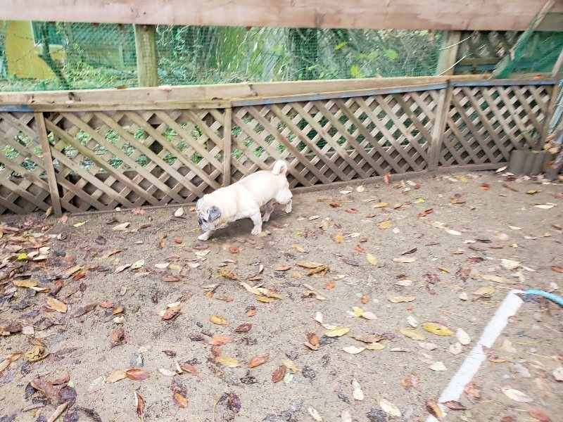 f:id:roukenhome-ann:20191203130610j:plain f:id:roukenhome-ann:20191203130610j:plain