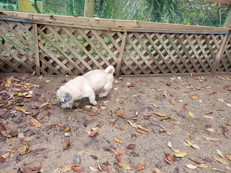 f:id:roukenhome-ann:20191203130618j:plain f:id:roukenhome-ann:20191203130618j:plain