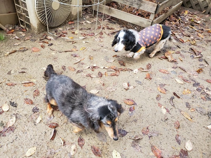 f:id:roukenhome-ann:20191203130625j:plain f:id:roukenhome-ann:20191203130625j:plain
