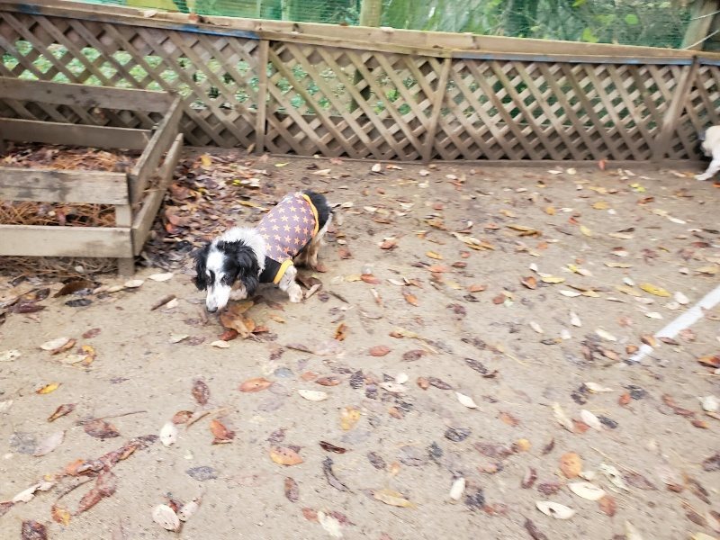 f:id:roukenhome-ann:20191203130635j:plain f:id:roukenhome-ann:20191203130635j:plain