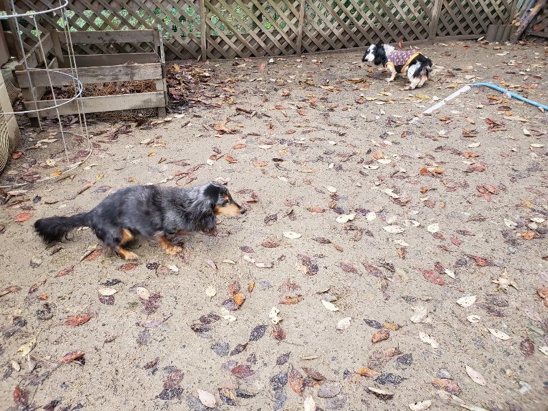 f:id:roukenhome-ann:20191203130645j:plain f:id:roukenhome-ann:20191203130645j:plain