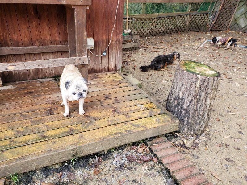 f:id:roukenhome-ann:20191203130716j:plain f:id:roukenhome-ann:20191203130716j:plain