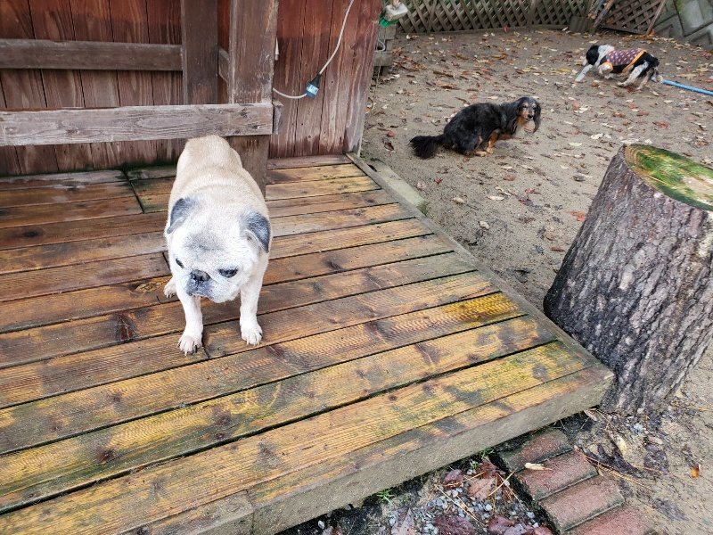 f:id:roukenhome-ann:20191203130728j:plain f:id:roukenhome-ann:20191203130728j:plain