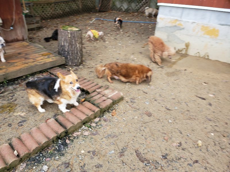 f:id:roukenhome-ann:20191203130737j:plain f:id:roukenhome-ann:20191203130737j:plain