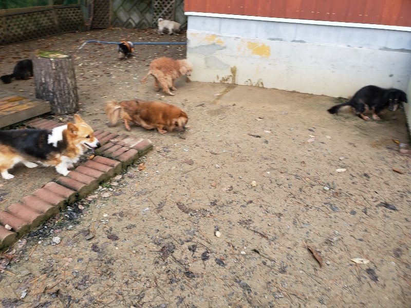 f:id:roukenhome-ann:20191203130745j:plain f:id:roukenhome-ann:20191203130745j:plain