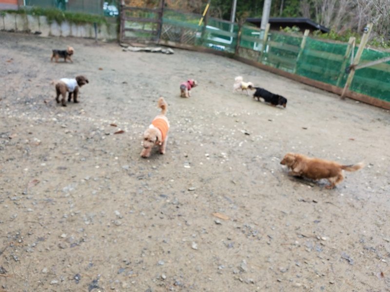 f:id:roukenhome-ann:20191203130759j:plain f:id:roukenhome-ann:20191203130759j:plain