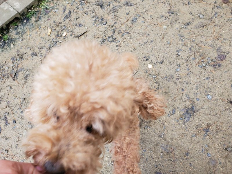 f:id:roukenhome-ann:20191203130842j:plain f:id:roukenhome-ann:20191203130842j:plain