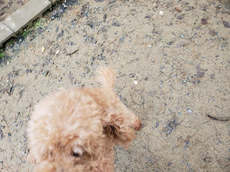 f:id:roukenhome-ann:20191203130850j:plain f:id:roukenhome-ann:20191203130850j:plain