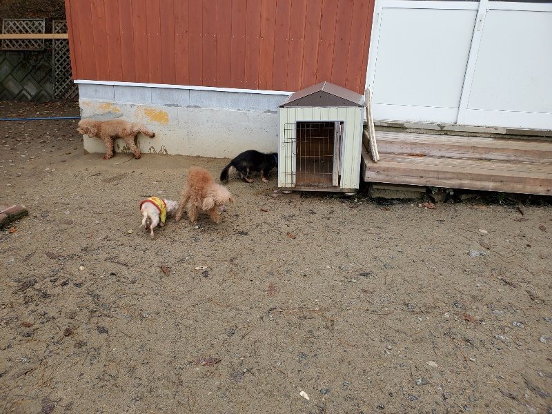 f:id:roukenhome-ann:20191203130857j:plain f:id:roukenhome-ann:20191203130857j:plain