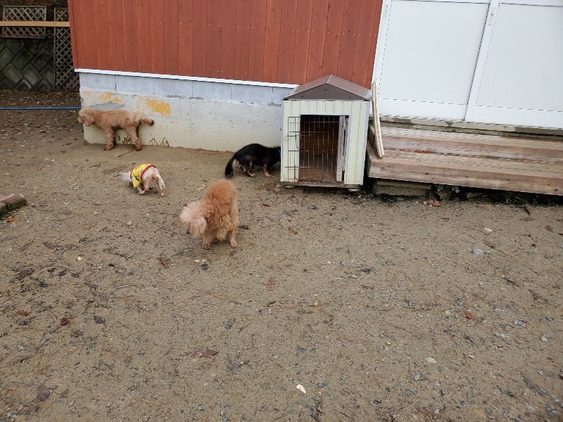 f:id:roukenhome-ann:20191203130904j:plain f:id:roukenhome-ann:20191203130904j:plain
