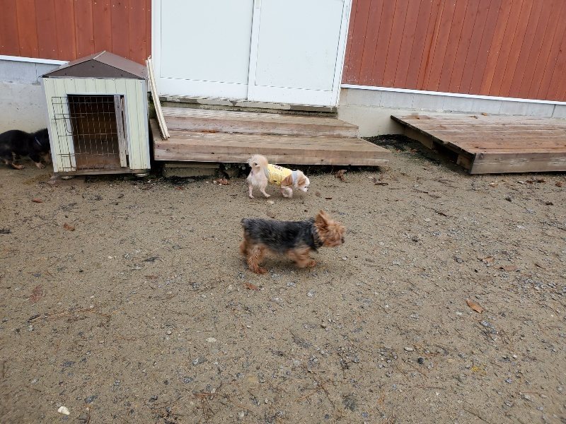 f:id:roukenhome-ann:20191203130912j:plain f:id:roukenhome-ann:20191203130912j:plain