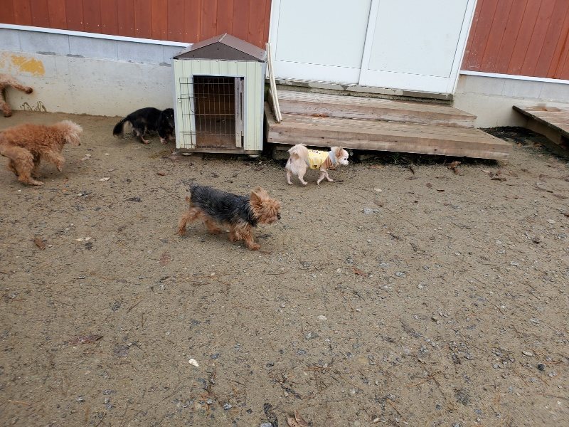 f:id:roukenhome-ann:20191203130924j:plain f:id:roukenhome-ann:20191203130924j:plain