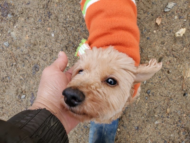 f:id:roukenhome-ann:20191203132134j:plain f:id:roukenhome-ann:20191203132134j:plain