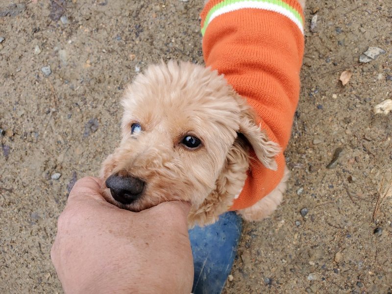 f:id:roukenhome-ann:20191203132147j:plain f:id:roukenhome-ann:20191203132147j:plain