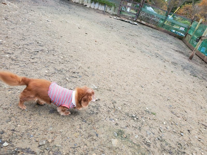 f:id:roukenhome-ann:20191203132226j:plain f:id:roukenhome-ann:20191203132226j:plain