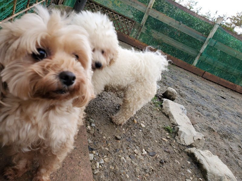 f:id:roukenhome-ann:20191203132233j:plain f:id:roukenhome-ann:20191203132233j:plain