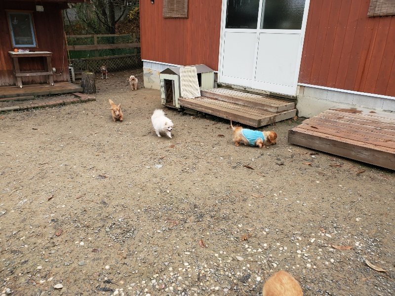 f:id:roukenhome-ann:20191203132323j:plain f:id:roukenhome-ann:20191203132323j:plain