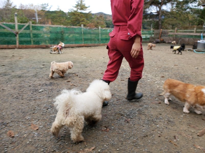 f:id:roukenhome-ann:20191203132339j:plain f:id:roukenhome-ann:20191203132339j:plain