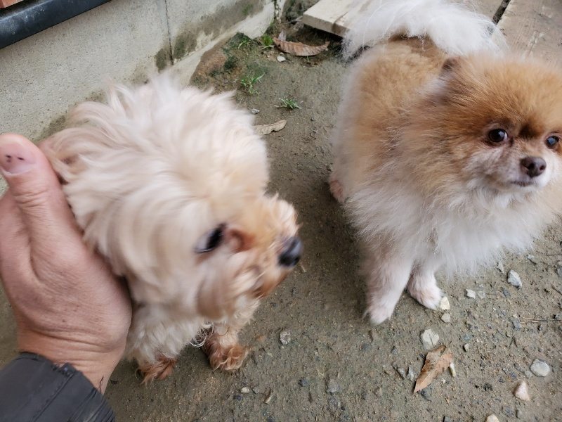f:id:roukenhome-ann:20191203132346j:plain f:id:roukenhome-ann:20191203132346j:plain