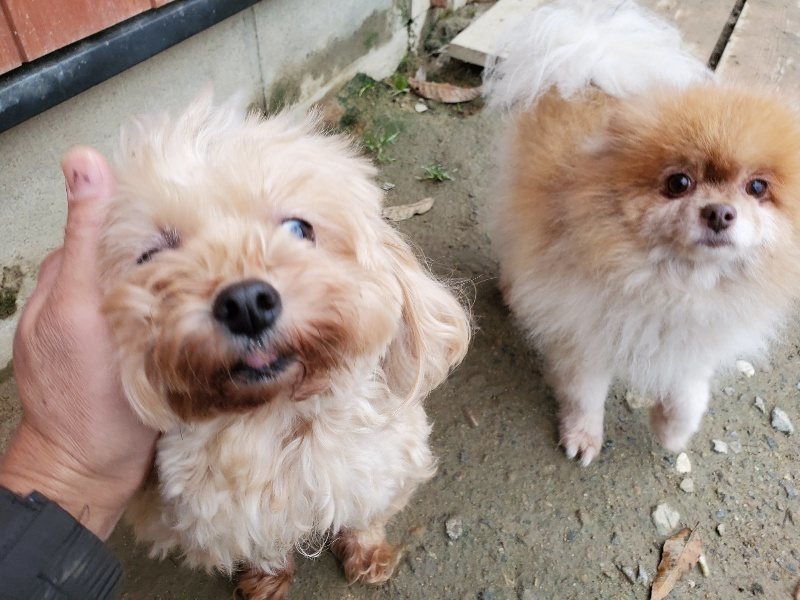 f:id:roukenhome-ann:20191203132359j:plain f:id:roukenhome-ann:20191203132359j:plain
