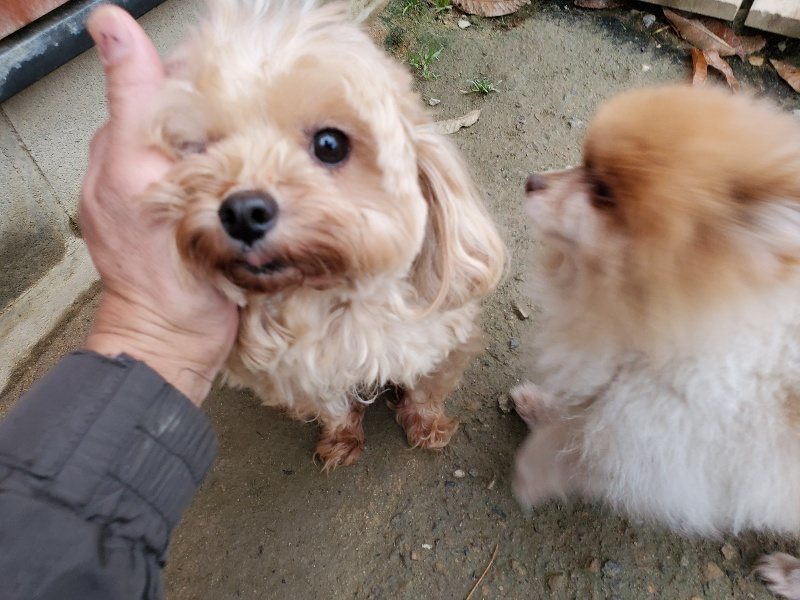 f:id:roukenhome-ann:20191203132416j:plain f:id:roukenhome-ann:20191203132416j:plain