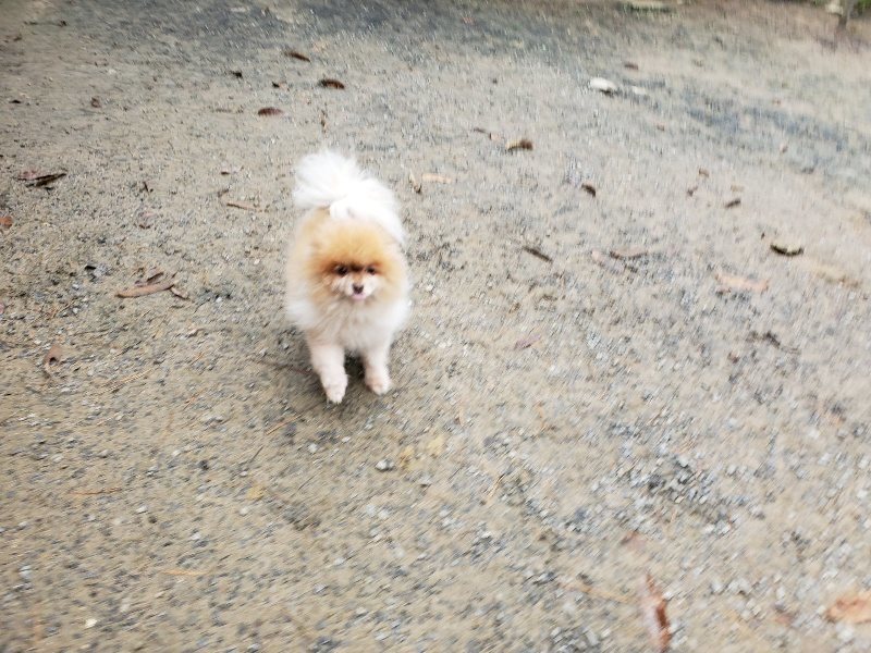 f:id:roukenhome-ann:20191203132421j:plain f:id:roukenhome-ann:20191203132421j:plain