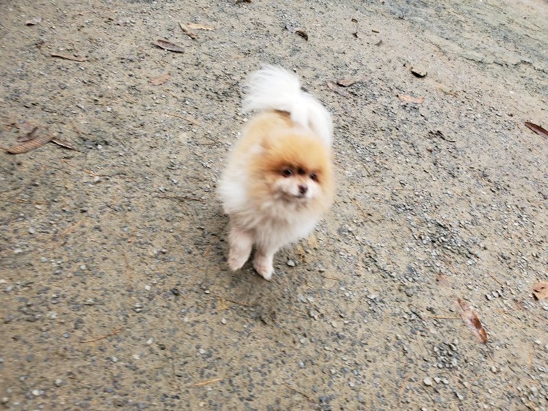 f:id:roukenhome-ann:20191203132432j:plain f:id:roukenhome-ann:20191203132432j:plain