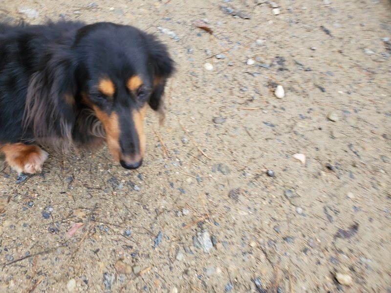 f:id:roukenhome-ann:20191203132509j:plain f:id:roukenhome-ann:20191203132509j:plain