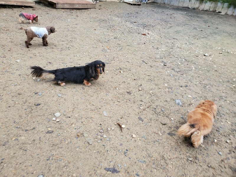 f:id:roukenhome-ann:20191203132519j:plain f:id:roukenhome-ann:20191203132519j:plain