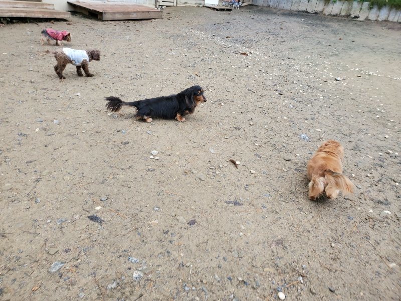 f:id:roukenhome-ann:20191203132525j:plain f:id:roukenhome-ann:20191203132525j:plain