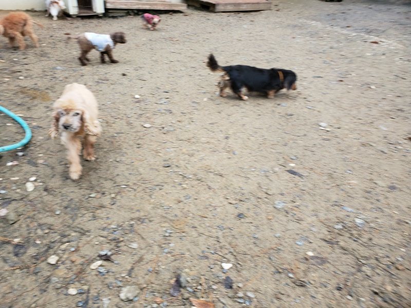 f:id:roukenhome-ann:20191203132537j:plain f:id:roukenhome-ann:20191203132537j:plain