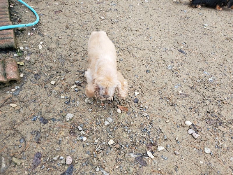 f:id:roukenhome-ann:20191203132546j:plain f:id:roukenhome-ann:20191203132546j:plain
