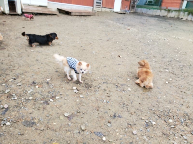 f:id:roukenhome-ann:20191203132551j:plain f:id:roukenhome-ann:20191203132551j:plain
