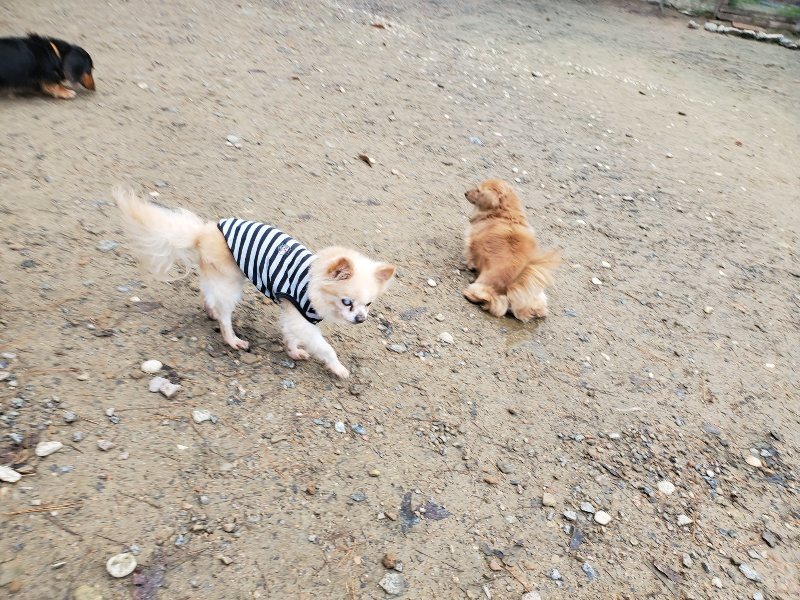 f:id:roukenhome-ann:20191203132602j:plain f:id:roukenhome-ann:20191203132602j:plain