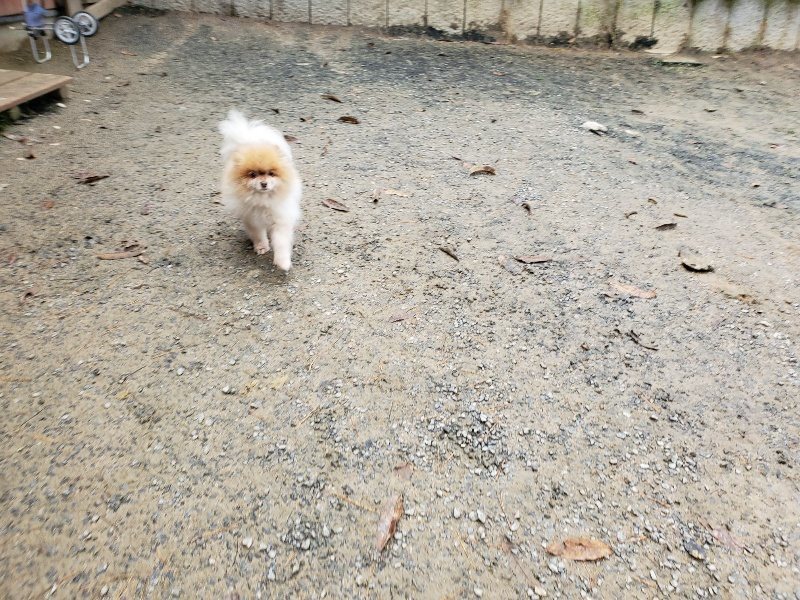 f:id:roukenhome-ann:20191203133046j:plain f:id:roukenhome-ann:20191203133046j:plain