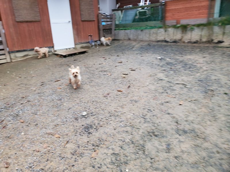 f:id:roukenhome-ann:20191203133051j:plain f:id:roukenhome-ann:20191203133051j:plain