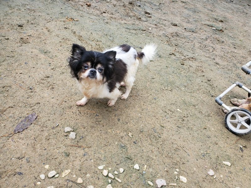 f:id:roukenhome-ann:20191203133127j:plain f:id:roukenhome-ann:20191203133127j:plain
