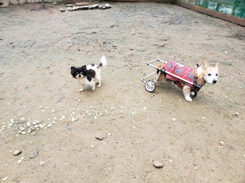 f:id:roukenhome-ann:20191203133207j:plain f:id:roukenhome-ann:20191203133207j:plain