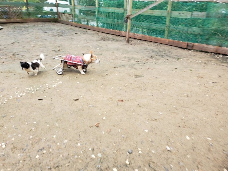 f:id:roukenhome-ann:20191203133214j:plain f:id:roukenhome-ann:20191203133214j:plain