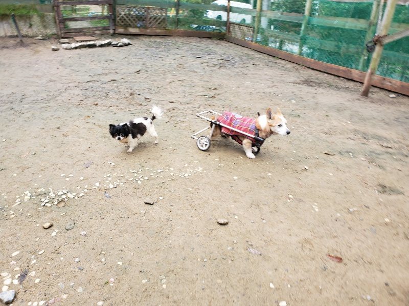 f:id:roukenhome-ann:20191203133222j:plain f:id:roukenhome-ann:20191203133222j:plain