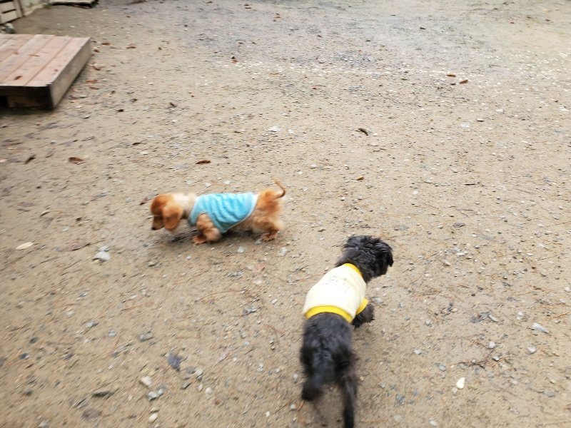 f:id:roukenhome-ann:20191203133237j:plain f:id:roukenhome-ann:20191203133237j:plain