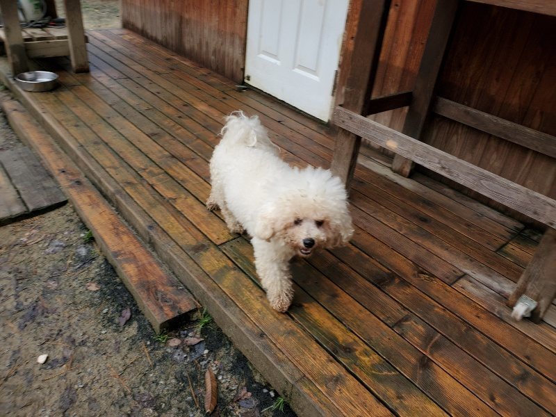 f:id:roukenhome-ann:20191203133243j:plain f:id:roukenhome-ann:20191203133243j:plain