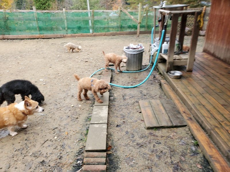 f:id:roukenhome-ann:20191203133250j:plain f:id:roukenhome-ann:20191203133250j:plain