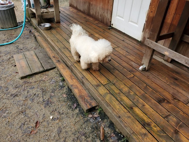 f:id:roukenhome-ann:20191203133256j:plain f:id:roukenhome-ann:20191203133256j:plain