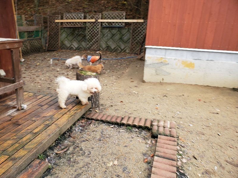 f:id:roukenhome-ann:20191203133322j:plain f:id:roukenhome-ann:20191203133322j:plain