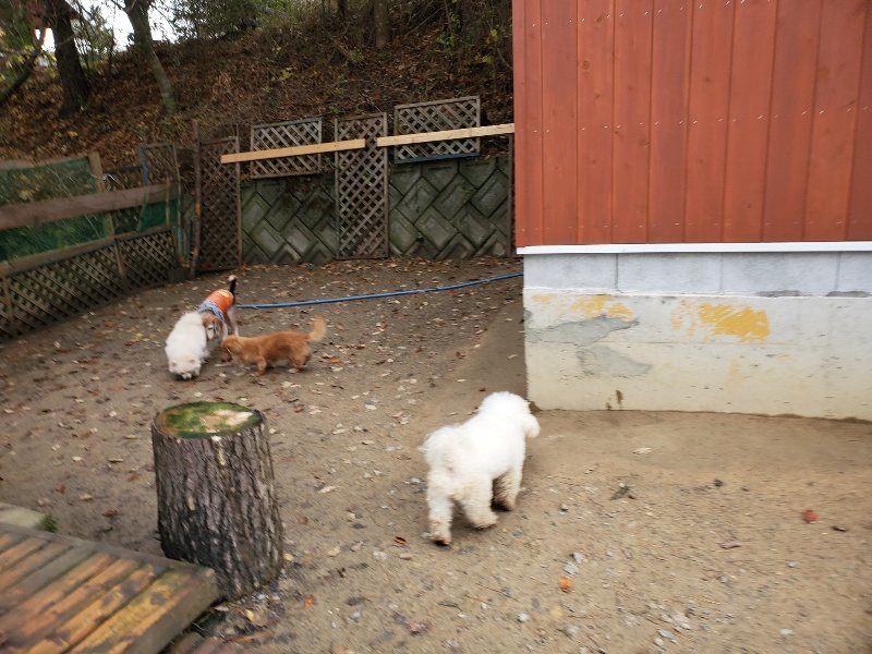 f:id:roukenhome-ann:20191203133328j:plain f:id:roukenhome-ann:20191203133328j:plain