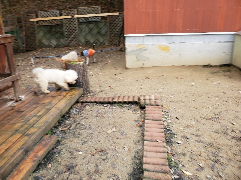f:id:roukenhome-ann:20191203133338j:plain f:id:roukenhome-ann:20191203133338j:plain