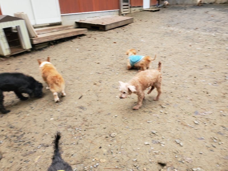 f:id:roukenhome-ann:20191203133348j:plain f:id:roukenhome-ann:20191203133348j:plain