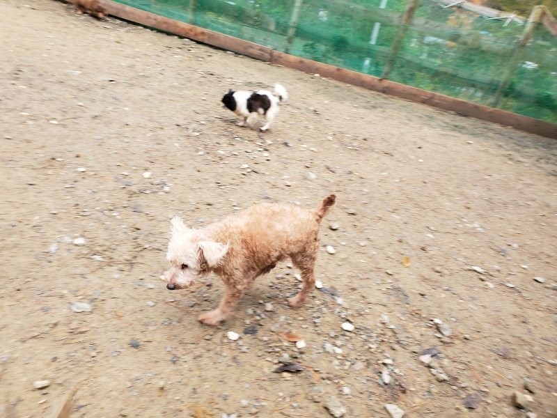 f:id:roukenhome-ann:20191203133400j:plain f:id:roukenhome-ann:20191203133400j:plain