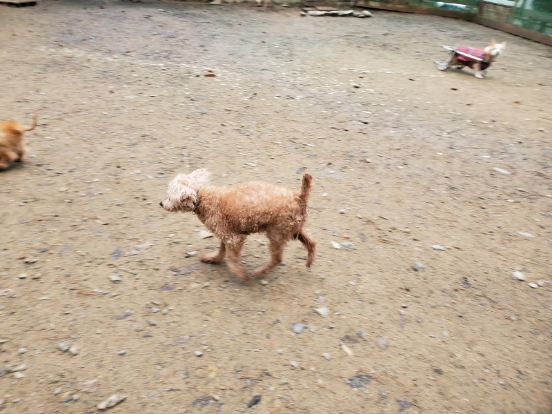 f:id:roukenhome-ann:20191203133413j:plain f:id:roukenhome-ann:20191203133413j:plain